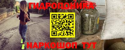 шишки Гай