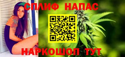 шишки Гай