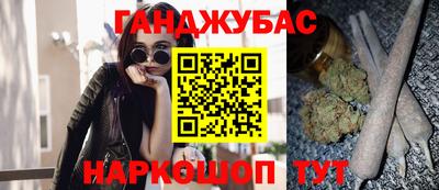 шишки Гай