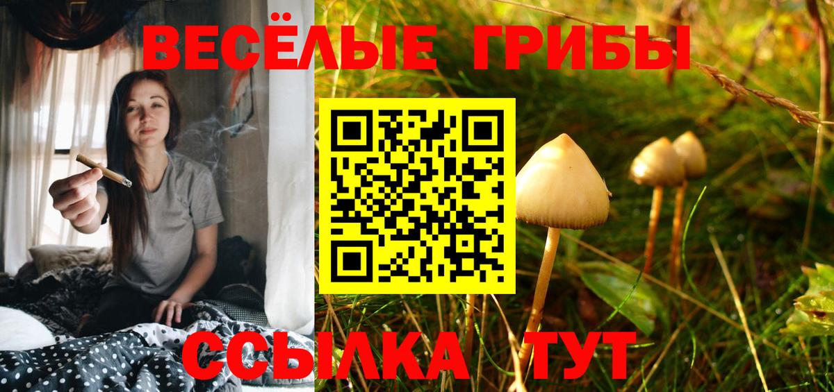 Галлюциногенные грибы Cubensis  Вход с VPN  Псилоцибиновые грибы GOLDEN TEACHER  Каменск-Шахтинский 