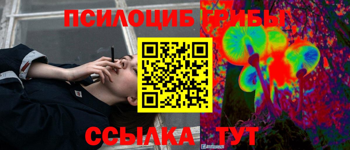 Псилоцибиновые грибы мицелий Каменск-Шахтинский